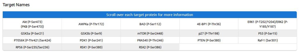 Human/Mouse AKT Pathway Phosphorylation Array C1