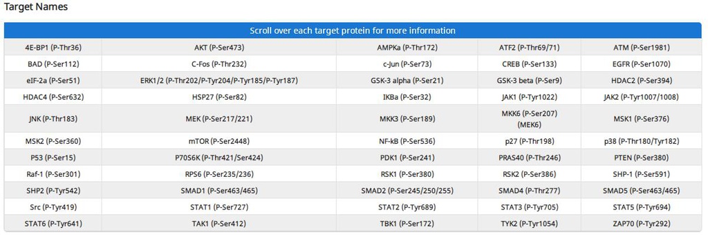 Human Phosphorylation Pathway Profiling Array C55