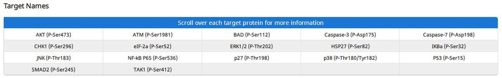 Mouse Apoptosis Signaling Pathway Array C1