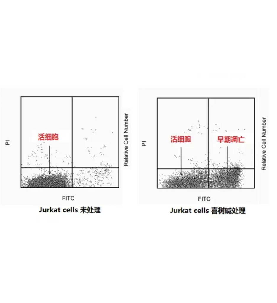 Annexin V FITC Apop Dtec Kit I 100Tst