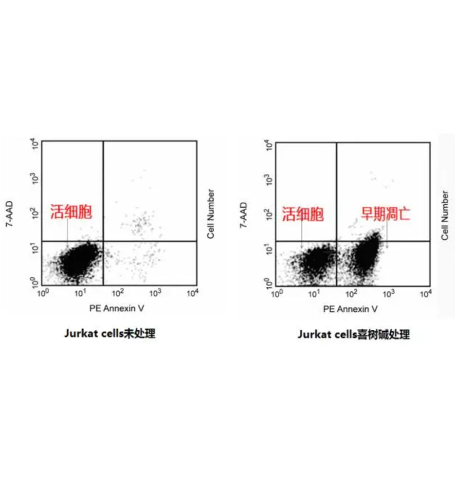 Annexin V PE Apop Dtec Kit 100Tst