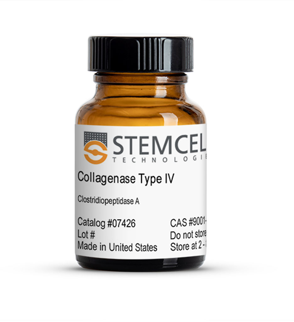 Collagenase Type IV, 100 mg