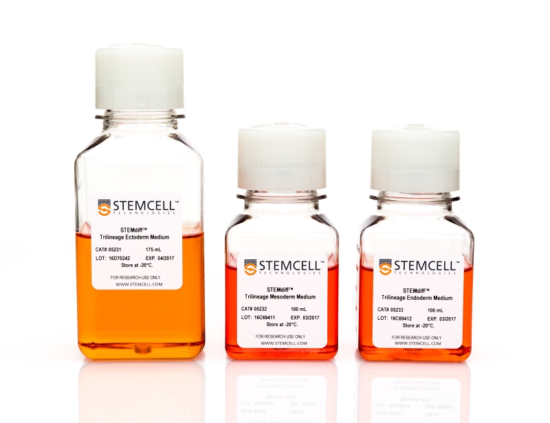 STEMdiff Trilineage Differentiation Kit