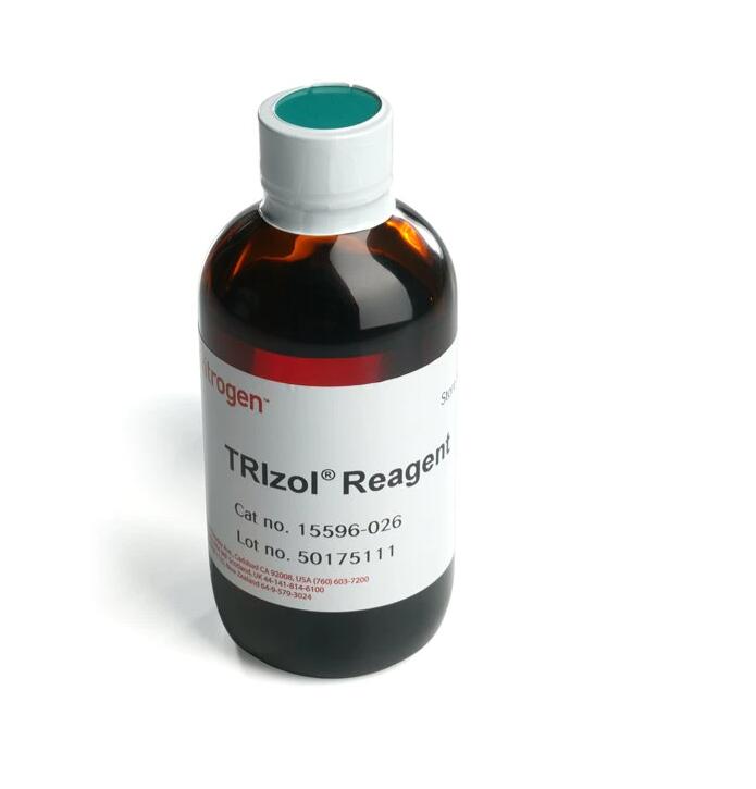 TRIzol Reagent, 100ml