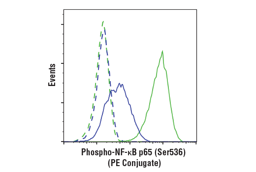 Phospho-NF-κB p65 (Ser536) (93H1) Rabbit mAb (PE Conjugate)