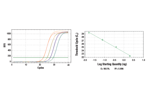 SimpleChIP Universal qPCR Master Mix