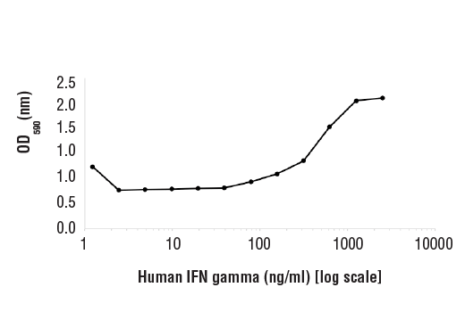 Human Interferon-γ (hIFN-γ)