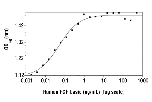 Human Basic Fibroblast Growth Factor (hFGF basic/FGF2)
