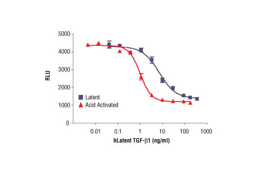 Human Latent Transforming Growth Factor β1 (hLatent TGF-β1)