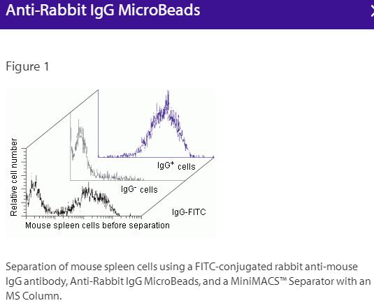 Anti-Rabbit IgG(H+L)-Microbeads, 1 ml
