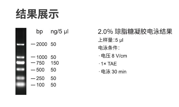 D2000 DNA分子量标准