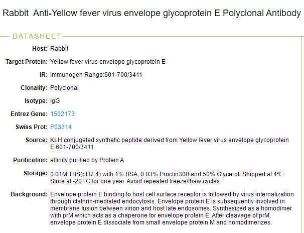 黄热病毒包膜糖蛋白抗体