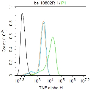 肿瘤坏死因子-a/TNFa/TNF-a抗体