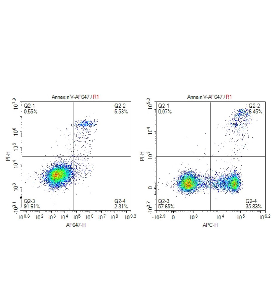 Annexin V-Alexa Fluor 647细胞凋亡检测试剂盒