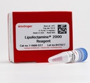 Lipofectamine 2000 Transfection Reagent