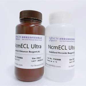[102.P10300] 超敏ECL化学发光试剂盒（NcmECL Ultra） [250+250ml]