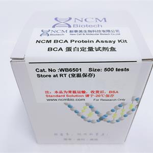 [102.WB6501] BCA蛋白定量试剂盒 [500次]