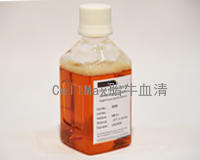[256.SA201.02] CellMax优级胎牛血清 [500ml]