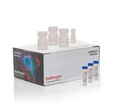 Click-iT EdU 细胞增殖成像试剂盒，含 Alexa Fluor 488 染料