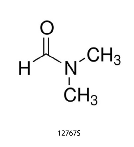 [003.12767S] DMF (Dimethylformamide) [10ml]