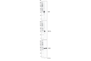 XCR1 (D2F8T) Rabbit mAb