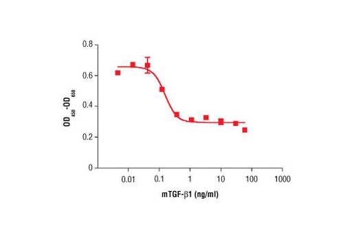 [003.5231LF] Mouse Transforming Growth Factor β1 (mTGF-β1) [10ug]