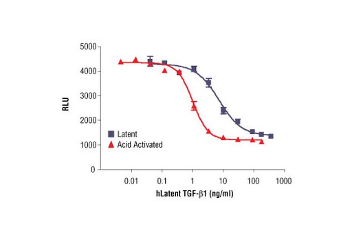 [003.5154LF] Human Latent Transforming Growth Factor β1 (hLatent TGF-β1) [10ug]