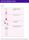 CD16 MicroBeads, human