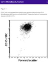 CD15 MicroBeads, human