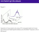 Anti-Rabbit IgG(H+L)-Microbeads, 1 ml