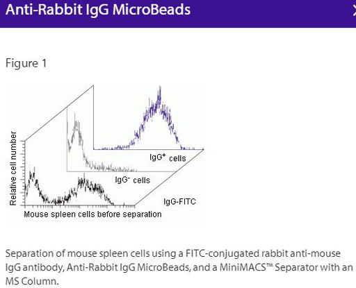 [044.130-048-602] Anti-Rabbit IgG(H+L)-Microbeads, 1 ml [1 ml]