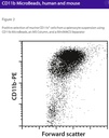 CD11b MicroBeads, human, mouse