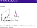 CD19 MicroBeads, human