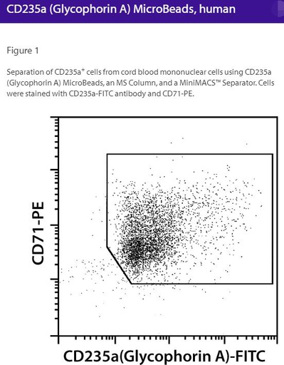 [044.130-050-501] CD235a (Glycophorin A) MicroBeads, human [pk]
