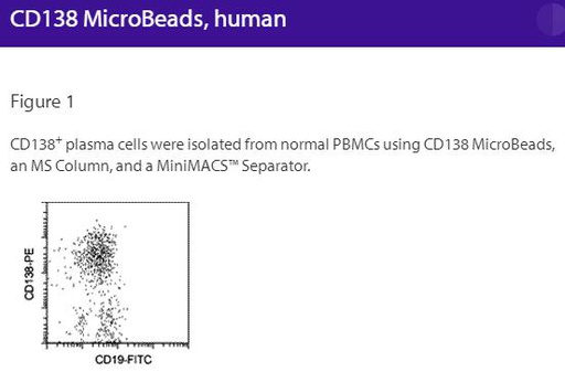 [044.130-051-301] CD138 MicroBeads, human [pk]