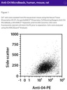 Anti-O4 MicroBeads, human, mouse, rat