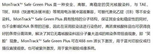 [155.ME20301M] 安全核酸染料Safe Green Plus [5×500 ul]