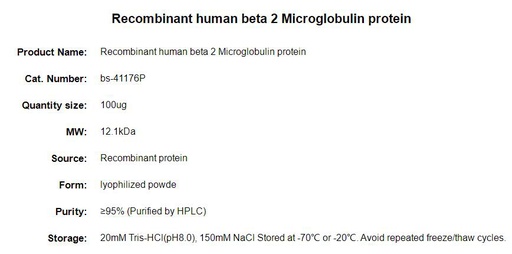 [116.bs-41176P-100ug] 重组人b2-微球蛋白/b2微球蛋白 [100ug]